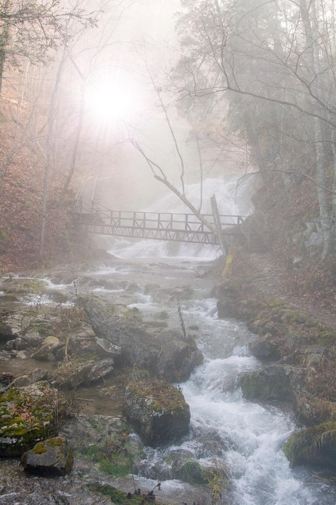 Bridge and Falls