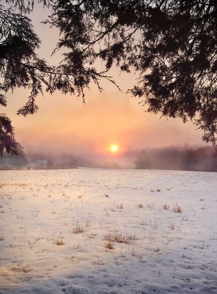 Snowy Field and Sunrise
