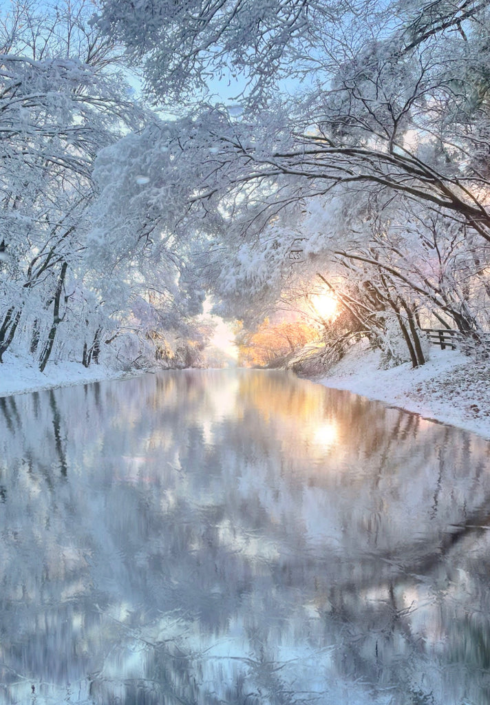 Blue Sky After Snow